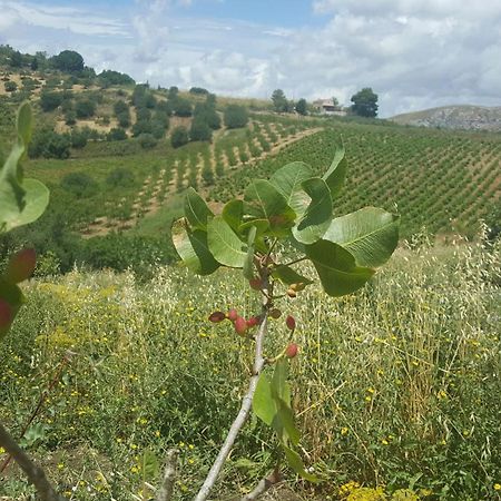 Agriturismo Gessi Calatafimi Zewnętrze zdjęcie